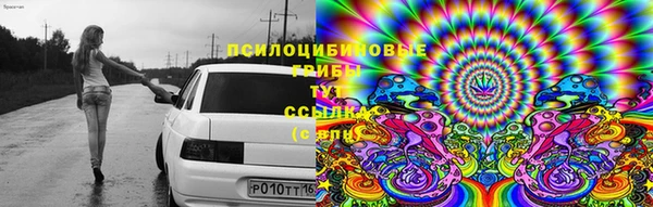 a pvp Армянск