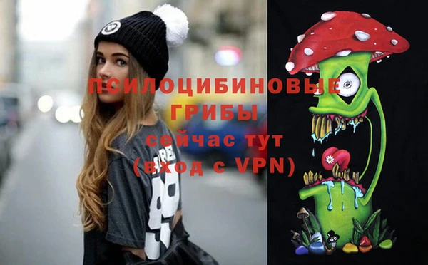 Альфа ПВП Козельск