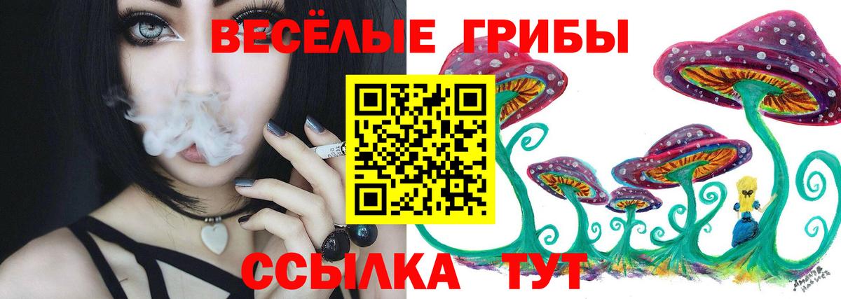 Псилоцибиновые грибы Magic Shrooms  Вход с VPN  Усть-Джегута  Псилоцибиновые грибы Cubensis 